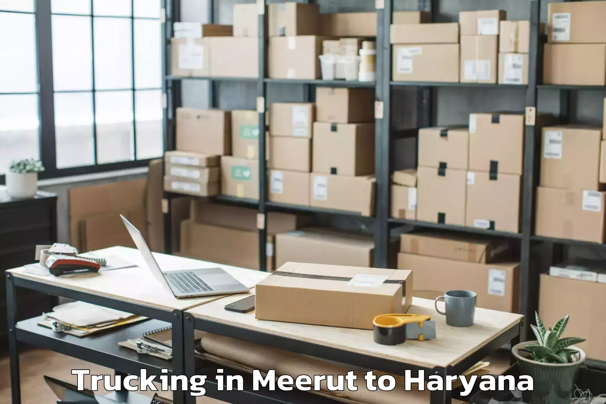 Top Meerut to Srm University Haryana Sonipat Trucking Available